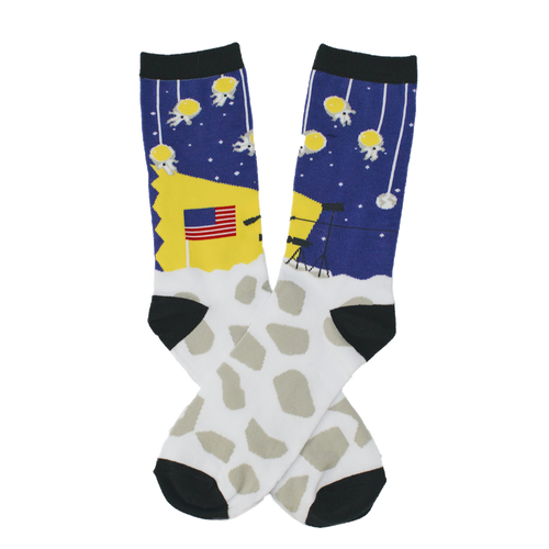 Moon Landing Conspiracy Sock