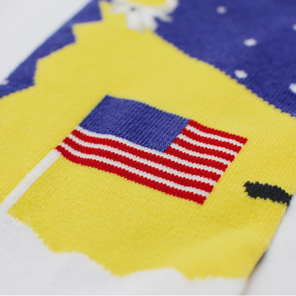Moon Landing Conspiracy Sock