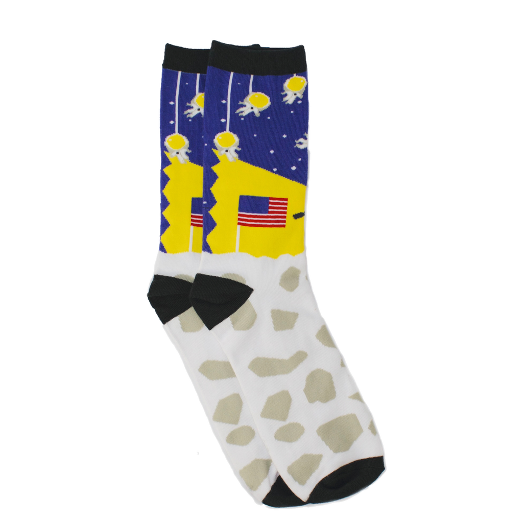 Moon Landing Conspiracy Sock