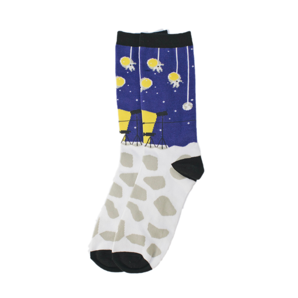 Moon Landing Conspiracy Sock